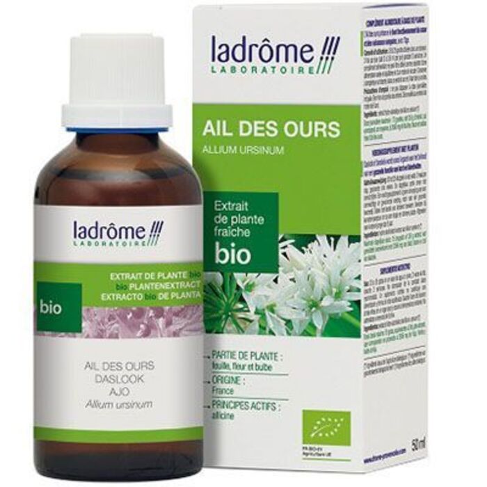 Photo de Ladrome extrait de plante fraîche bio ail des ours Ladrôme Ladrome extrait de plante fraîche bio ail des ours Ladrôme-7814