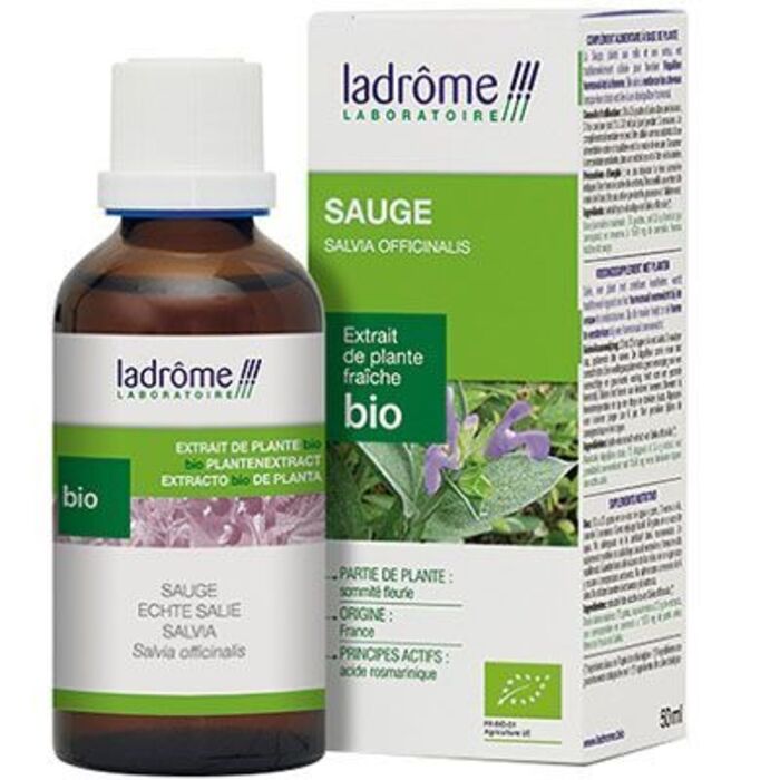 Photo de Ladrome extrait de plante fraîche bio sauge Ladrôme Ladrome extrait de plante fraîche bio sauge Ladrôme-7848
