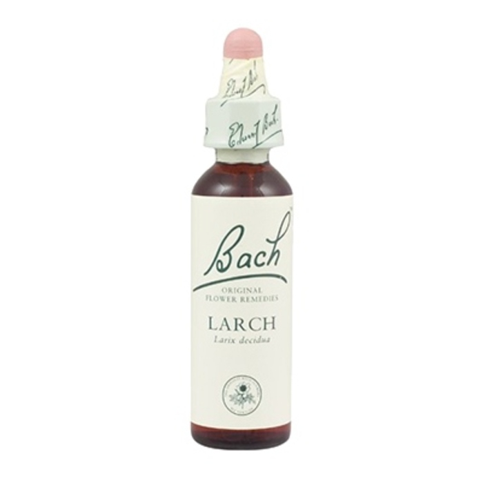Photo de Larch n°19 Bach original Larch n°19 Bach original-8157