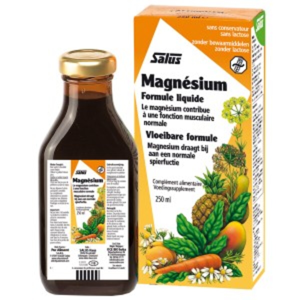 Magnésium minéraldrink flacon 250 ml divers salus Achat au
