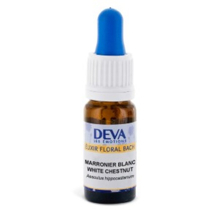 Photo de Marronnier blanc bio Deva Marronnier blanc bio Deva-15661