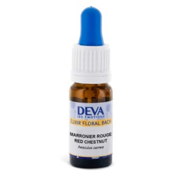 Photo de Marronnier rouge bio Deva Marronnier rouge bio Deva-15662