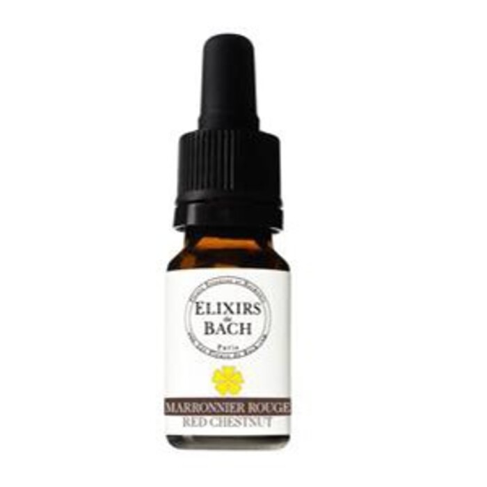 Photo de Marronnier rouge bio Fleurs essences et harmonie Marronnier rouge bio Fleurs essences et harmonie-13443
