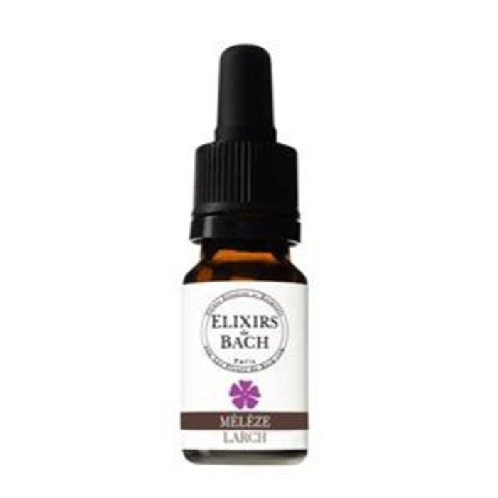 Photo de Mélèze bio Fleurs essences et harmonie Mélèze bio Fleurs essences et harmonie-13437