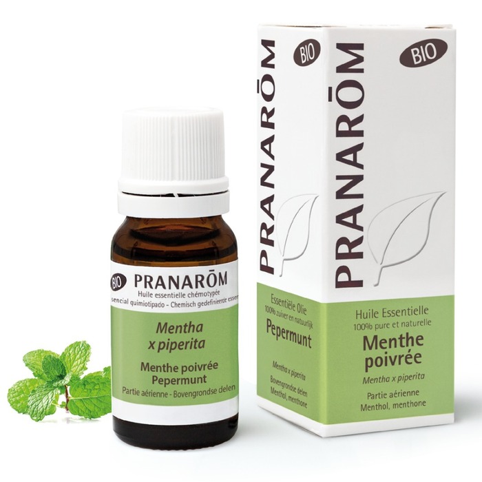 Photo de Menthe poivrée Pranarôm Menthe poivrée Pranarôm-227670