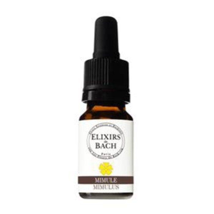 Photo de Mimule bio Fleurs essences et harmonie Mimule bio Fleurs essences et harmonie-13438