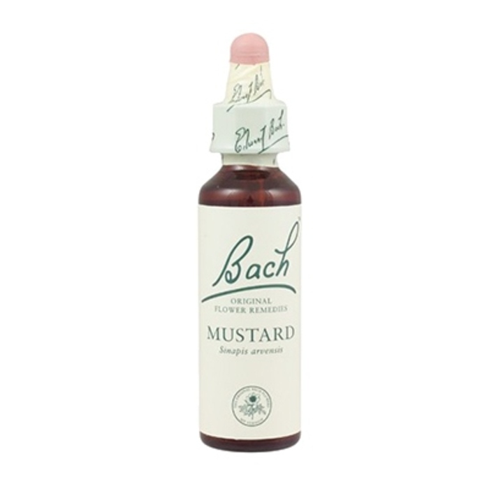 Photo de Mustard n°21 Bach original Mustard n°21 Bach original-8159