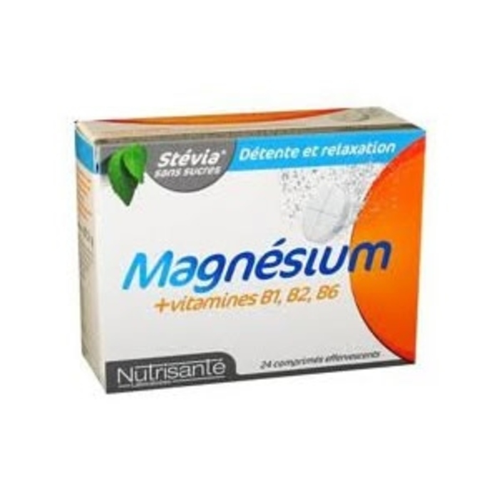 Photo de Nutrisante magnésium + vitamines b1 b2 b6 24 comprimés effervescents Nutrisanté Nutrisante magnésium + vitamines b1 b2 b6 24 comprimés effervescents Nutrisanté-196159