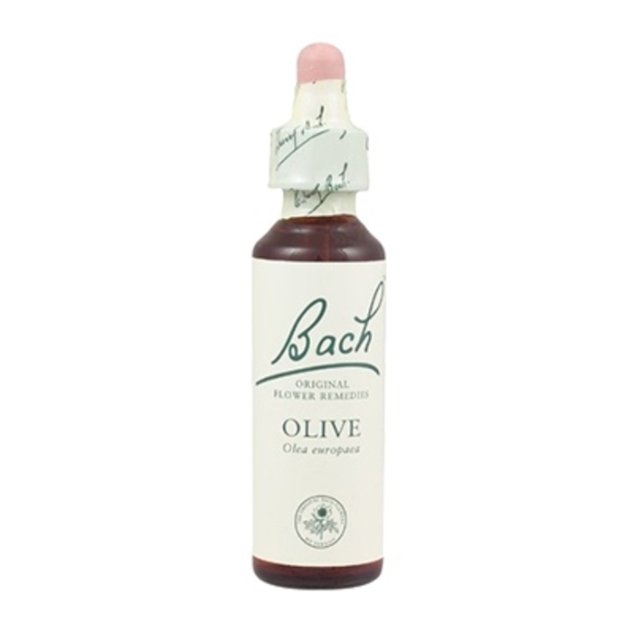 Photo de Olive n°23 Bach original Olive n°23 Bach original-8161