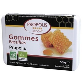 Pastilles Propolis BIO  - 36 gommes - divers - Redon -140306