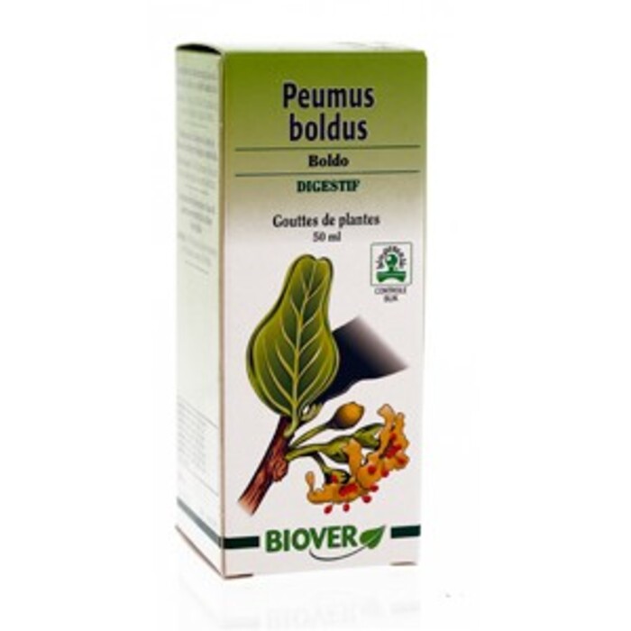 Photo de Peumus boldus (boldo) bio Biover Peumus boldus (boldo) bio Biover-8986