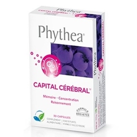 Phythea capital cérébral - phytea -190192