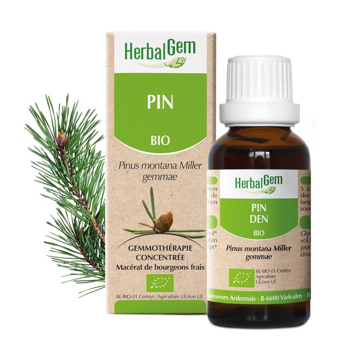 Photo de Pin des montagnes bio 30 ml Herbalgem Pin des montagnes bio 30 ml Herbalgem-189250