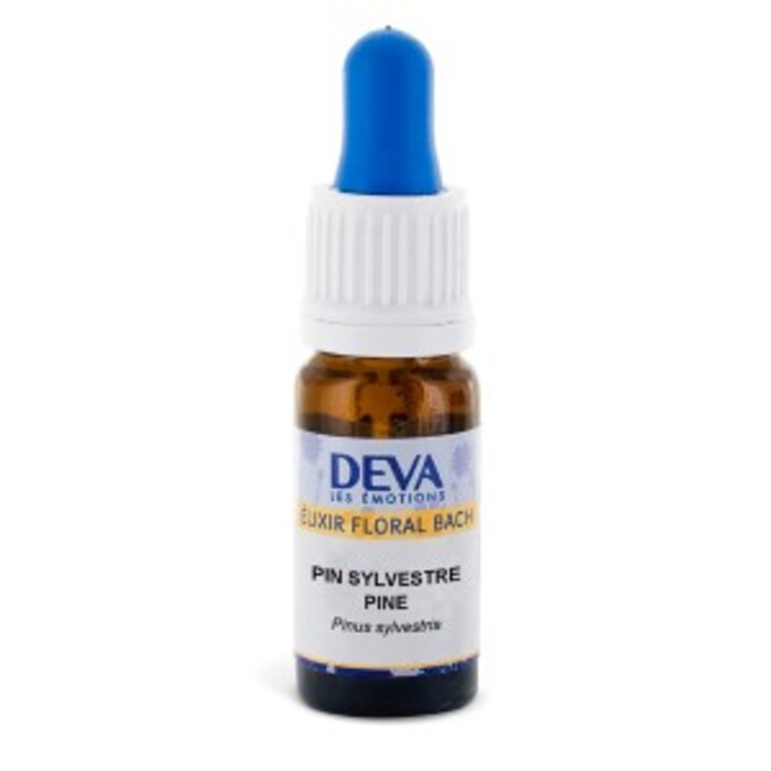Photo de Pin sylvestre bio Deva Pin sylvestre bio Deva-15669