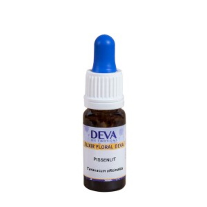 Photo de Pissenlit bio Deva Pissenlit bio Deva-15761