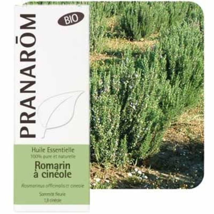 Photo de Pranarom huile essentielle romarin à cinéole 10ml Pranarom Pranarom huile essentielle romarin à cinéole 10ml Pranarom-189820