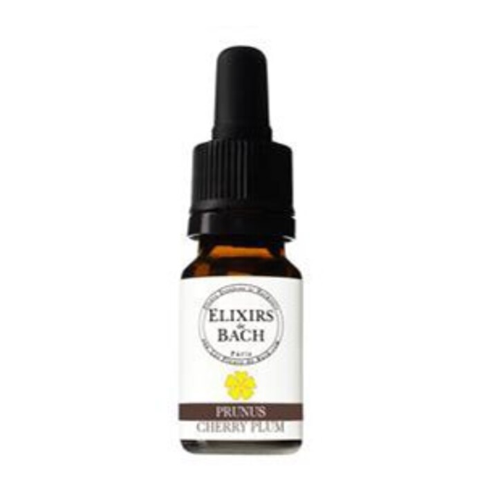 Photo de Prunus bio Fleurs essences et harmonie Prunus bio Fleurs essences et harmonie-13423