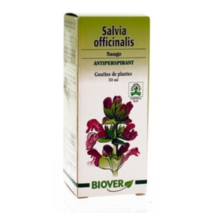 Photo de Salvia officinalis (sauge) bio Biover Salvia officinalis (sauge) bio Biover-8989