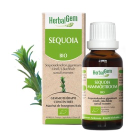 SEQUOIA BIO 30 ML - 30.0 ml - herbalgem - Herbalgem -189243