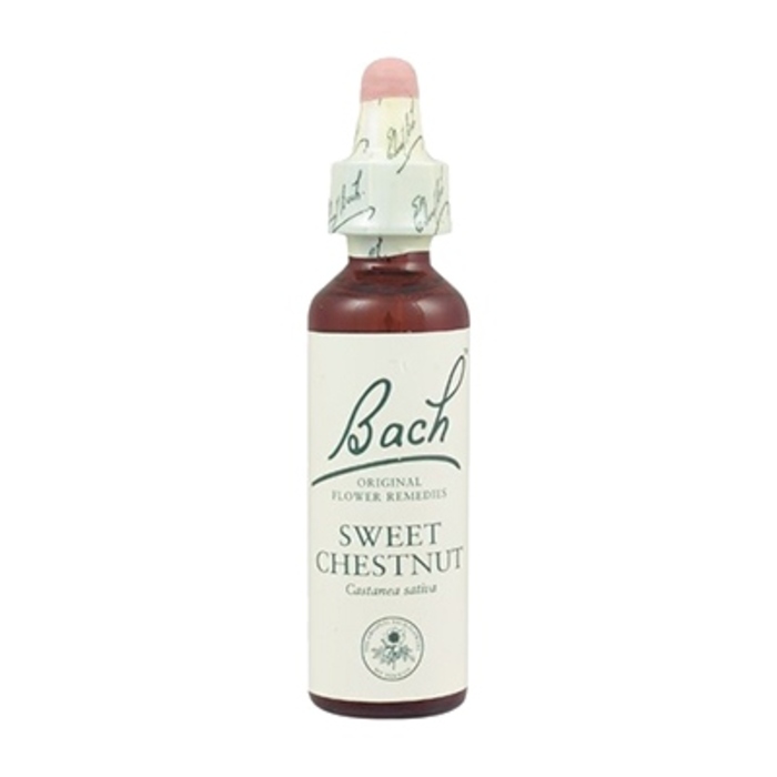 Photo de Sweet chestnut n°30 Bach original Sweet chestnut n°30 Bach original-8138