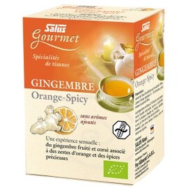 Tisane Gourmet Gingembre, Orange spicy Bio - 15 sac hets - divers - Salus -137918