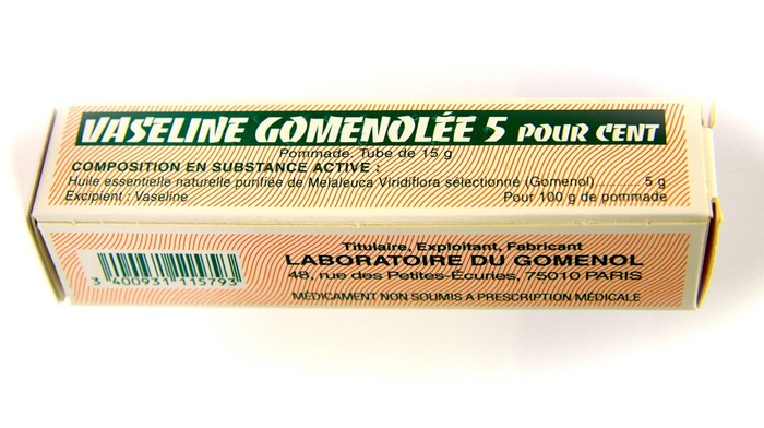 Photo de Vaseline gomenolee 5% - 15g Laboratoire du gomenol Vaseline gomenolee 5% - 15g Laboratoire du gomenol-193071