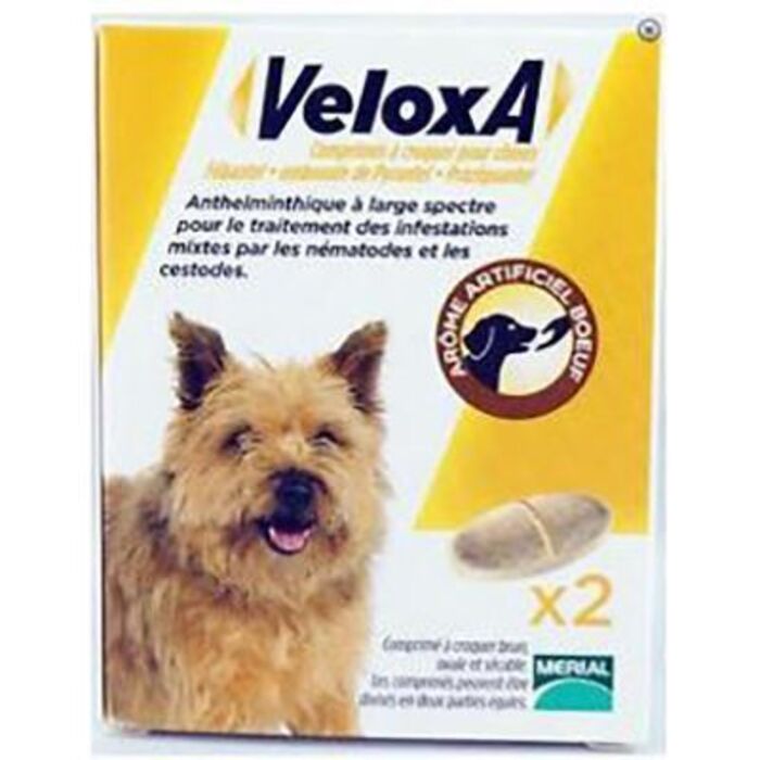 Veloxa vermifuge chien comprimé à croquer x2 Merial-226144