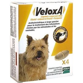 Veloxa vermifuge chien comprimé à croquer x4 - merial -226145
