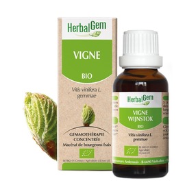 VIGNE BIO 30 ML - 30.0 ml - herbalgem - Herbalgem -189240