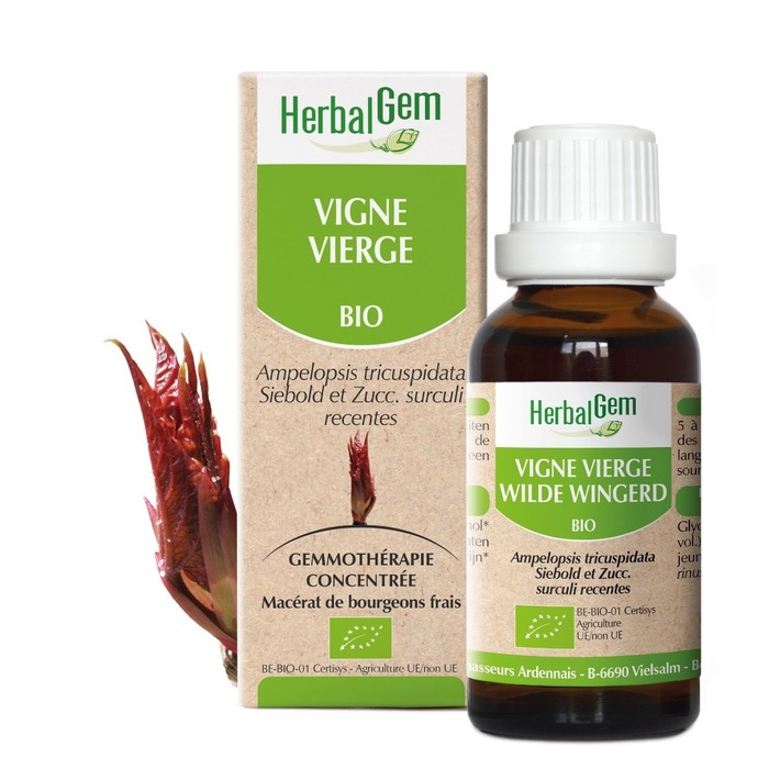 Photo de Vigne vierge bio 30 ml Herbalgem Vigne vierge bio 30 ml Herbalgem-229969