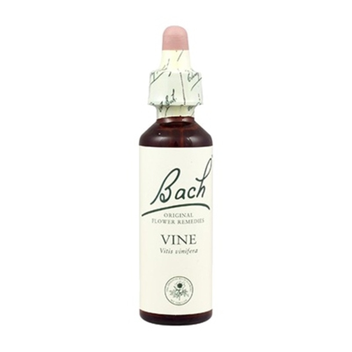 Photo de Vine n°32 Bach original Vine n°32 Bach original-8175