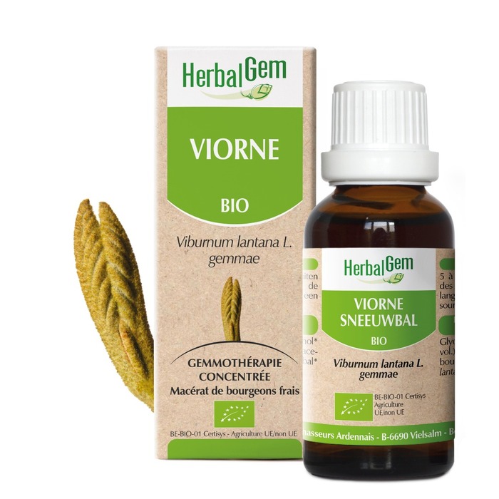 Viorne bio 30 ml Herbalgem-189239