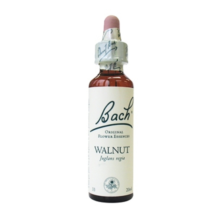 Photo de Walnut n°33 Bach original Walnut n°33 Bach original-8160