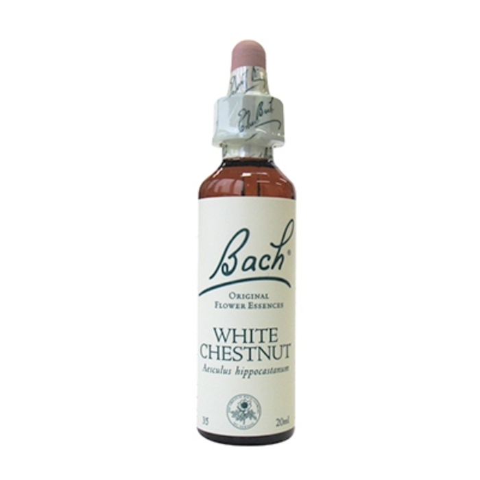Photo de White chestnut n°35 Bach original White chestnut n°35 Bach original-8155