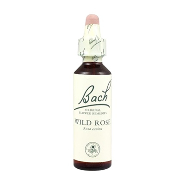 Photo de Wild rose n°37 Bach original Wild rose n°37 Bach original-8149